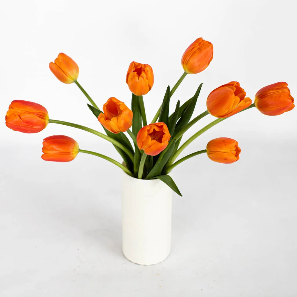 Orange Bulk Tulips